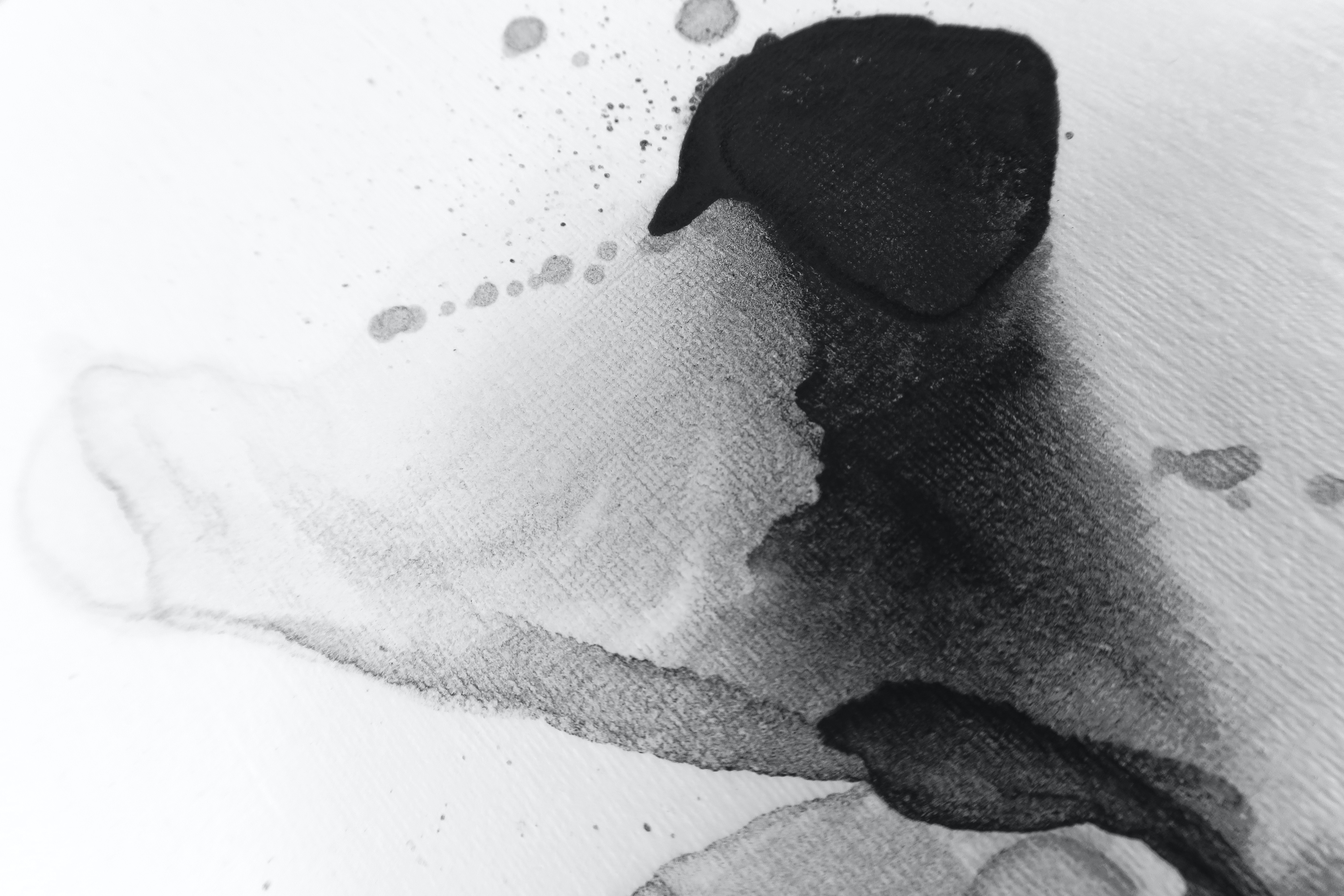 fia-yang-35QSeYHlMr8-unsplash