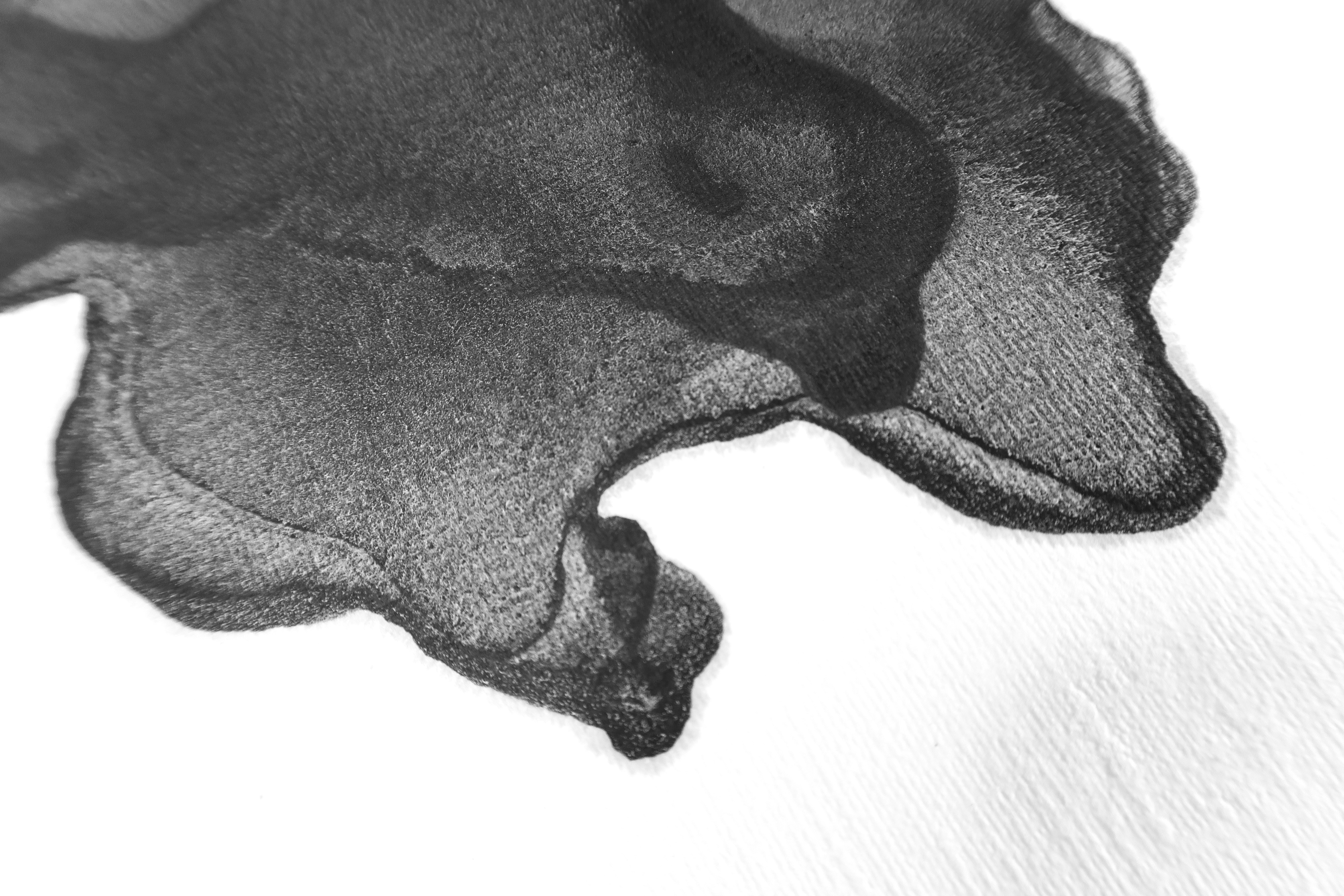 fia-yang-HGgH4IV8DvY-unsplash